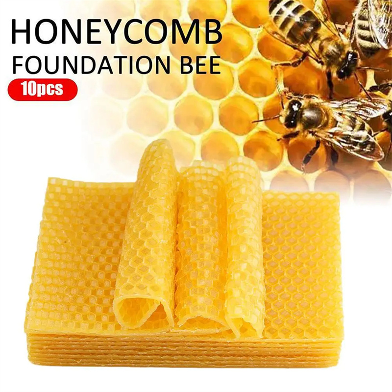 10Pcs Beekeeping Tools Beeswax - đánh giá và giá Candle Making With Beeswax