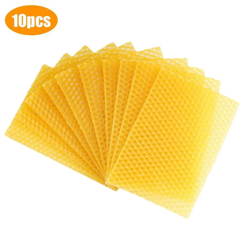 10Pcs Beekeeping Tools Beeswax - đánh giá và giá Candle Making With Beeswax