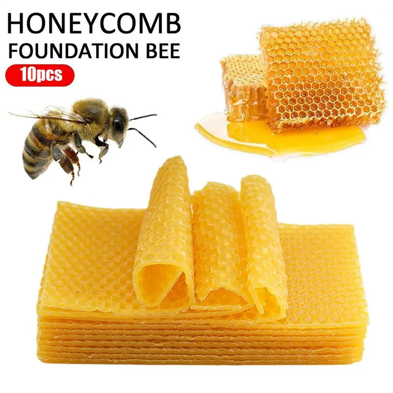 10Pcs Beekeeping Tools Beeswax - đánh giá và giá Candle Making With Beeswax